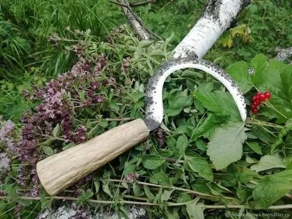 Заготовка архиума