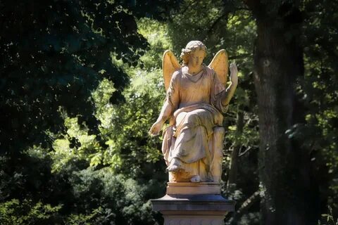 Angels see