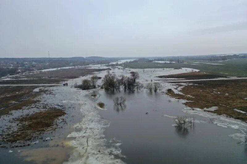 Белоомут разлив 2023. Разлив Оки Белоомут. Река Белоомут 2023. Разлив Оки 2023 Белоомут.