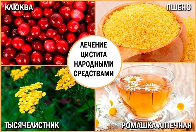 Как лечить цистит дома. Цистит народные средства. народные средства от цистита. народные средства от мочевого. цистит у женщин народные средства.