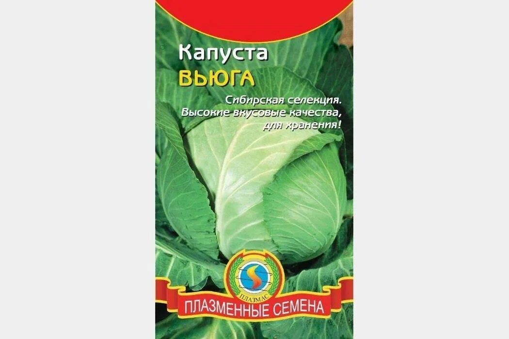 Капуста вьюга описание сорта. Капуста вьюга 0.3гр б/к (СИБСАД). Сорт капусты вьюга. Семена капусты.