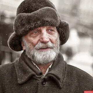 Дед критика