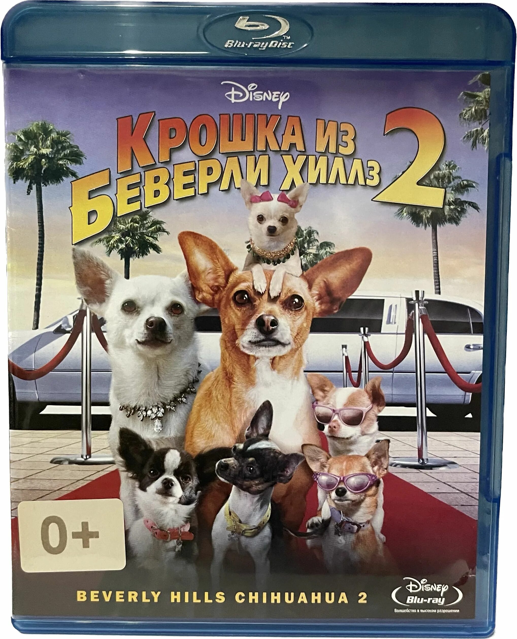 Крошка из беверли хиллз 2011. Крошка из Беверли-Хиллз 2. Крошка чихуахуа из Беверли Хиллз 2.