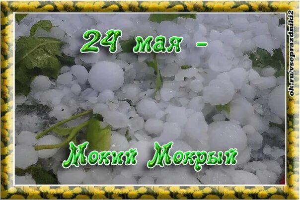 Майские 24. Мокий мокрый. Мокей мокрый 24 мая народный праздник. 24 Мая народный календарь. 24 Мая народные приметы.