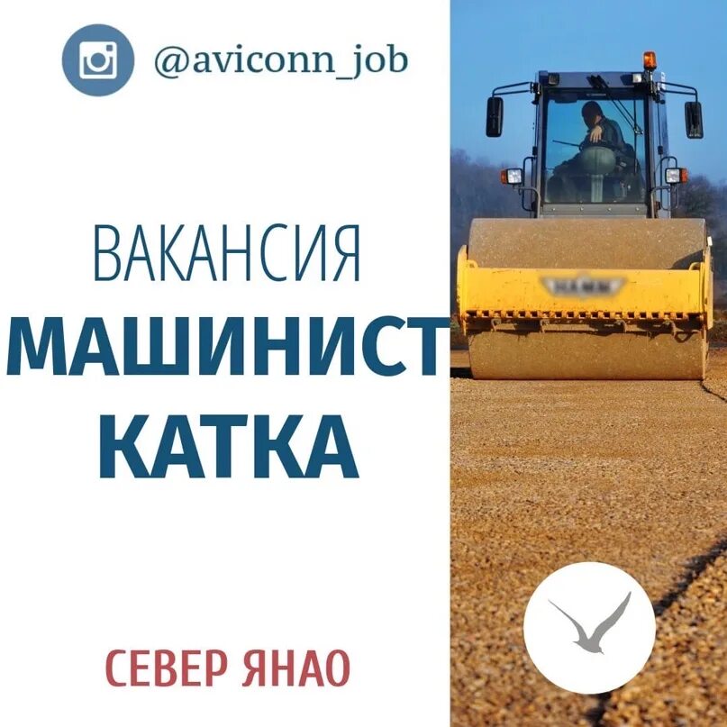 Навилюкс воддорстрой. Машинист катка зарплата. Машинист катка грунтового. Авито вакансии машинист. Требуется машинист бульдозера.