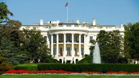 Белый цвет в сша