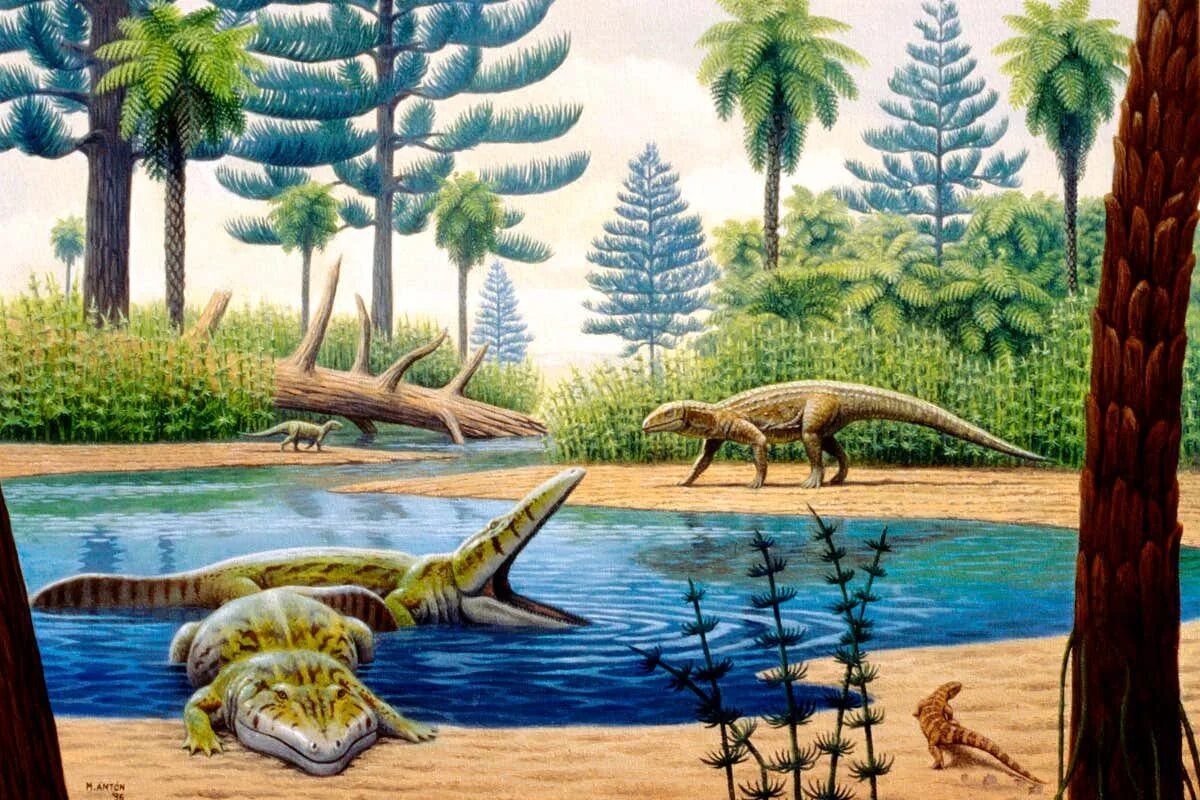 Мезозойское время. Триасовый период мезозойской эры. Триасовый период мезозойской эры животные. Динозавры Триасового периода.