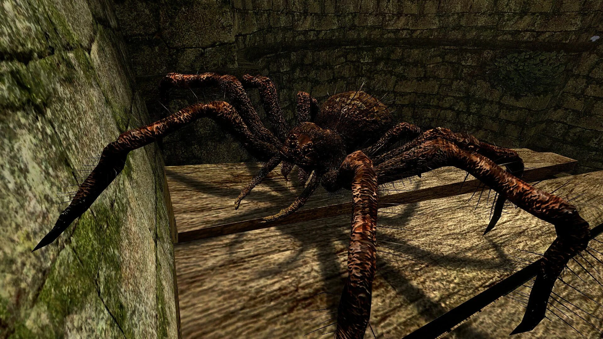 Dark messiah вылетает. Dark Messiah пауки. Dark Messiah of might and Magic. Dark Messiah of might and Magic пауки. Dark Messiah of might and Magic мать Намтару.