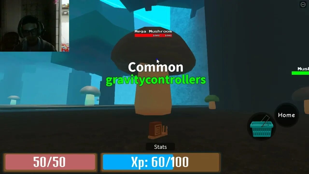Evolution simulator codes. Evolution simulator codes