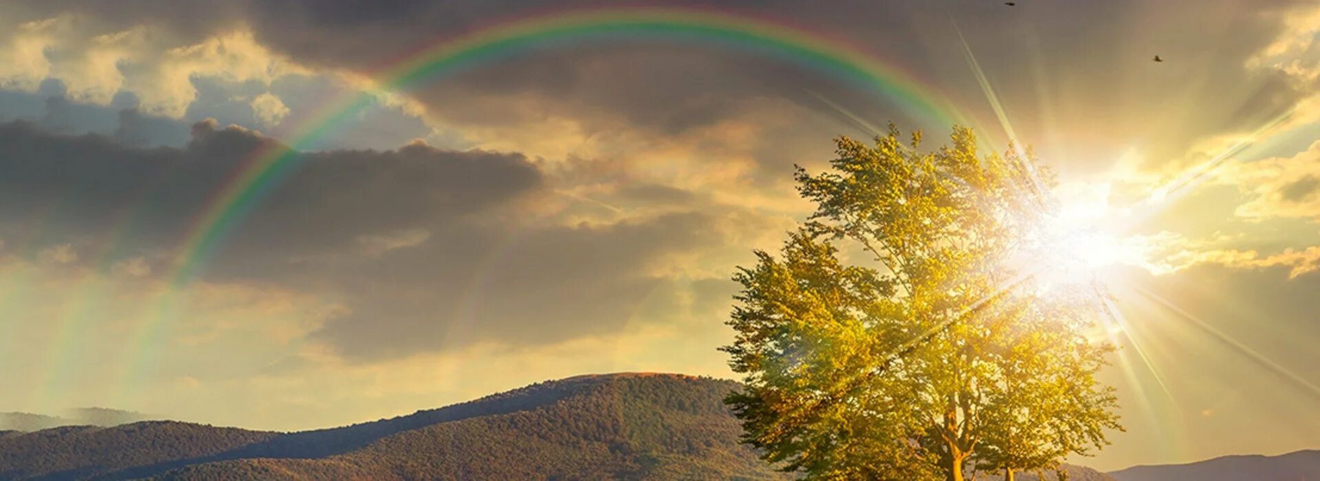 Солнечные глаза. Увидеть солнце. Я в этот мир пришел чтобы увидеть солнце. Увидишь солнечный. Увидишь солнечный.