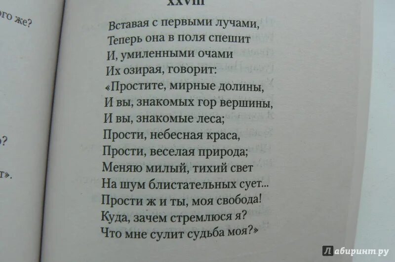 Вставая с первыми лучами теперь. Вставая с первыми лучами теперь она в поля спешит и умиленными. Простите мирные Долины Пушкин. Вставай с первыми лучами вставай текст. Песня вставай время