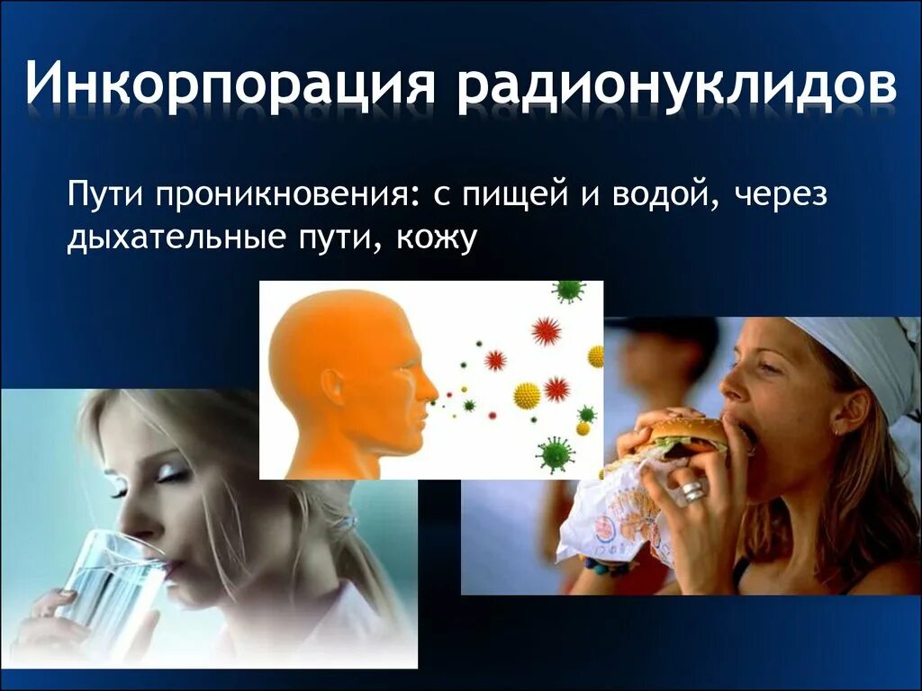 Пути поступления радионуклидов. Инкорпорированные радионуклиды. пути инкорпорации радионуклидов. выведение радионуклидов из организма. распределение инкорпорированных радионуклидов в организме.