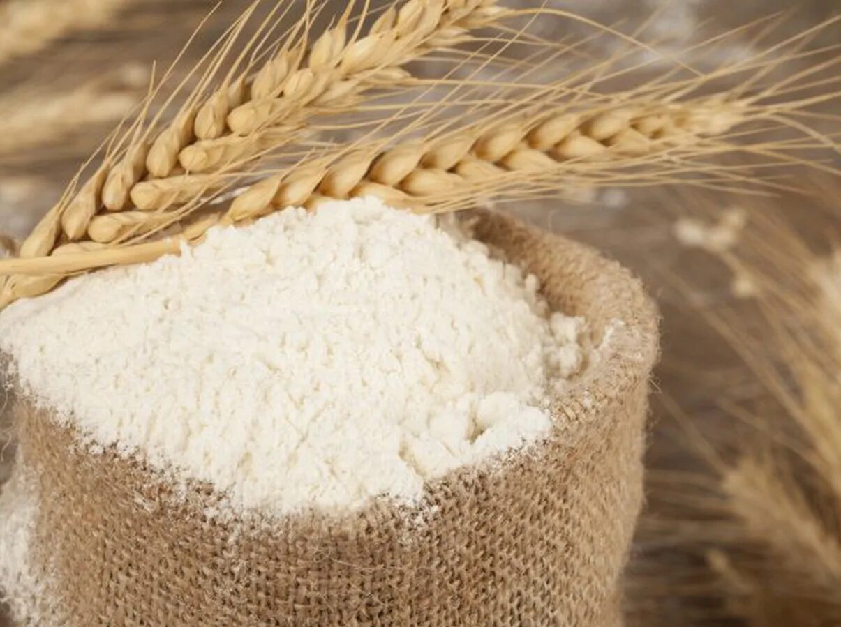 зерновой крахмал. пшеница мука. глютен пшеничный. мука из пшеницы. зерновой крахмал.