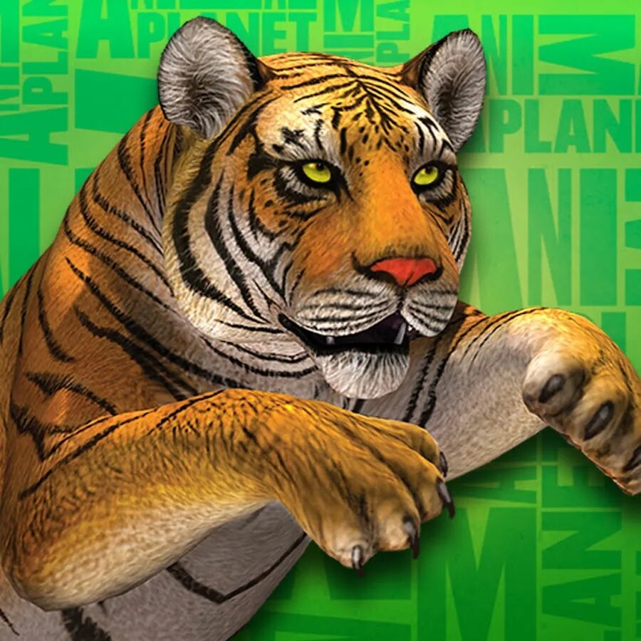 Animals программа