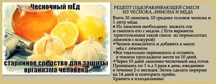 Лимон мед чеснок польза. Чистка сосудов лимоном и чесноком. Чистка сосудов медом. Лимон с чесноком для сосудов. Чистка сосудовчиснокои.