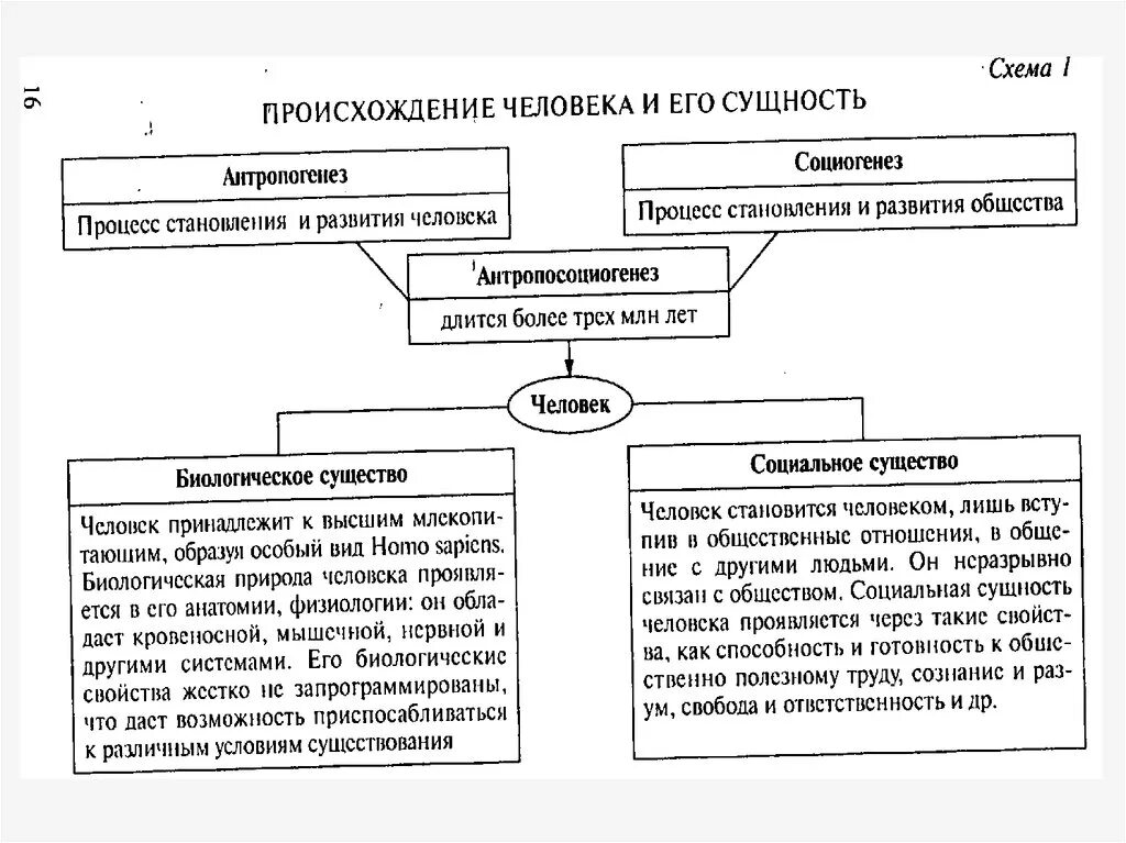 Сущность человека схема. Социальная сущность человека. Социальная сущность человека схема. Происхождение и сущность человека.