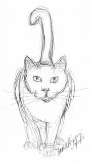 Коты нарисованные простым карандашом легкие