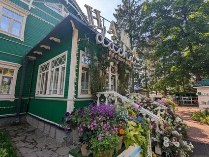 Магазины дача спб