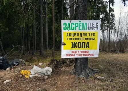 Вместе лес