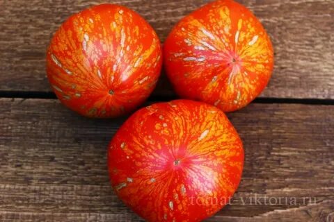 Семена фейерверки