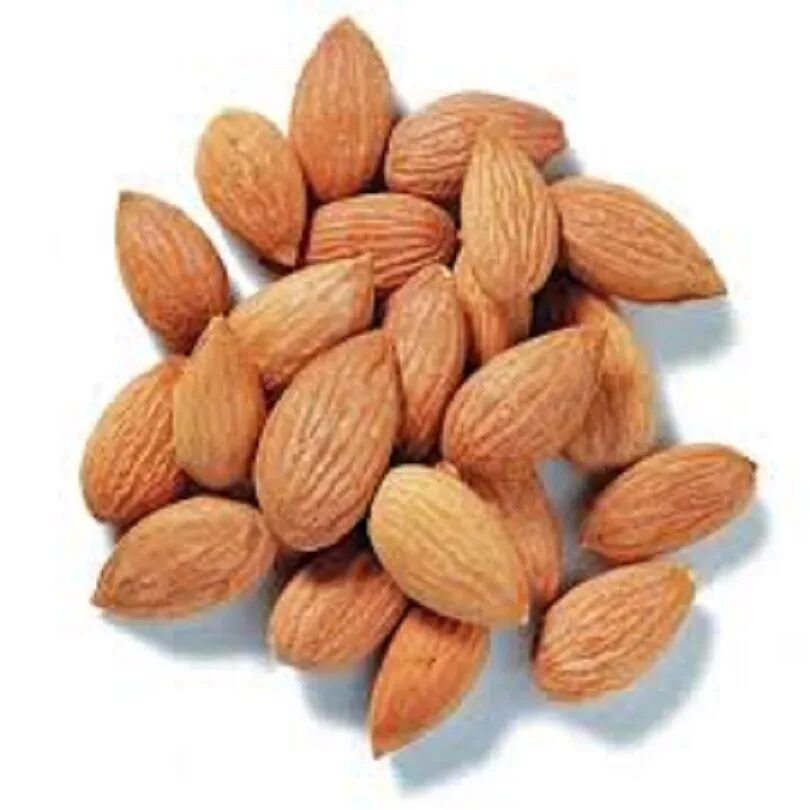 Apricot kernel
