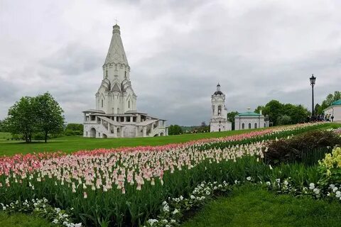 Парк коломенское поесть