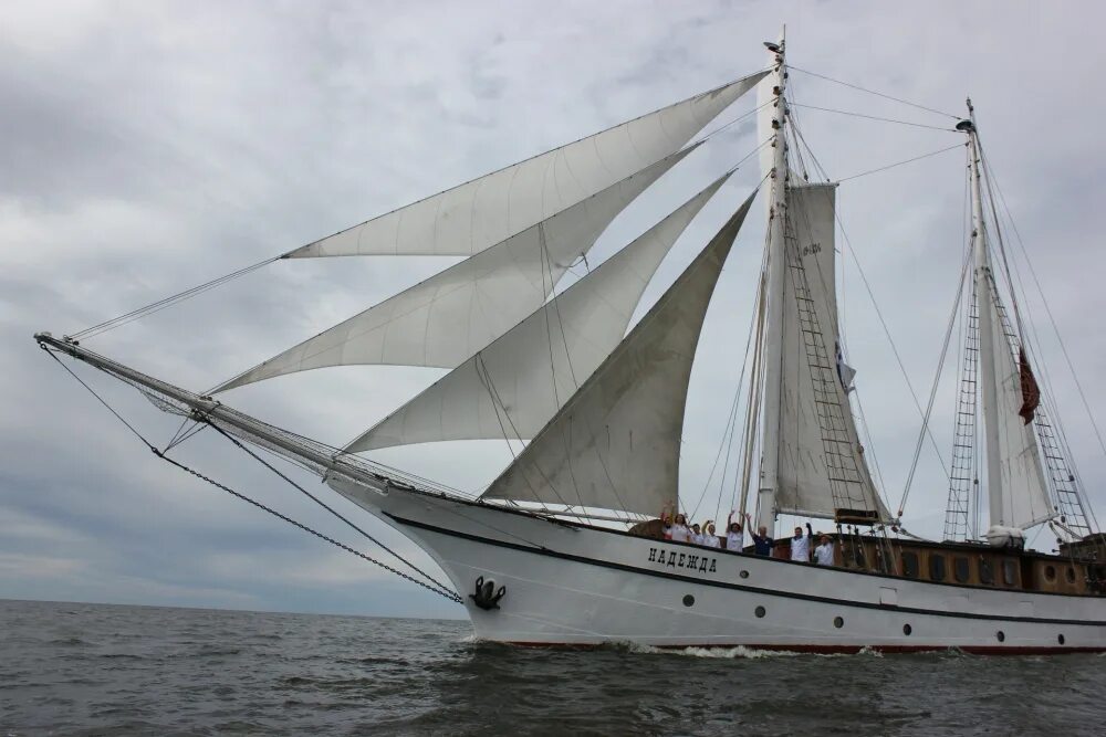 Китобойная шхуна эссекс. Люгер корабль. Шхуна кусто. Балтиморский клипер. Шхуна в рок опере сканворд 5 букв.