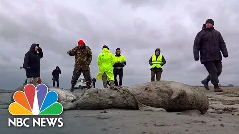 Погибающие море