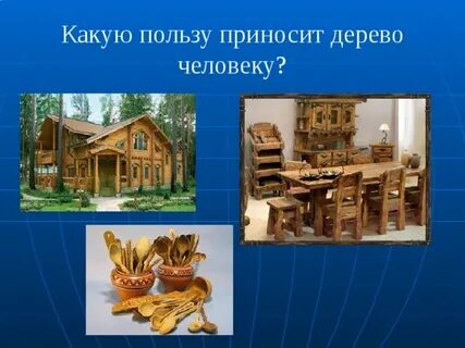 Польза деревьев