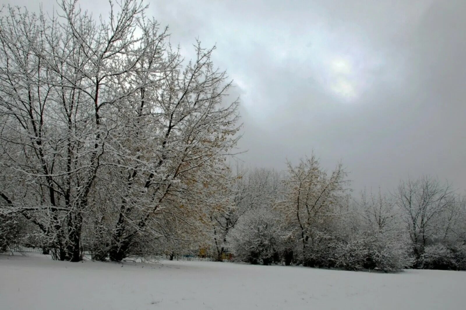 Серая зима. Пасмурное зимнее утро. Пасмурный снег. Пасмурный снег. Снегопад в лесу.