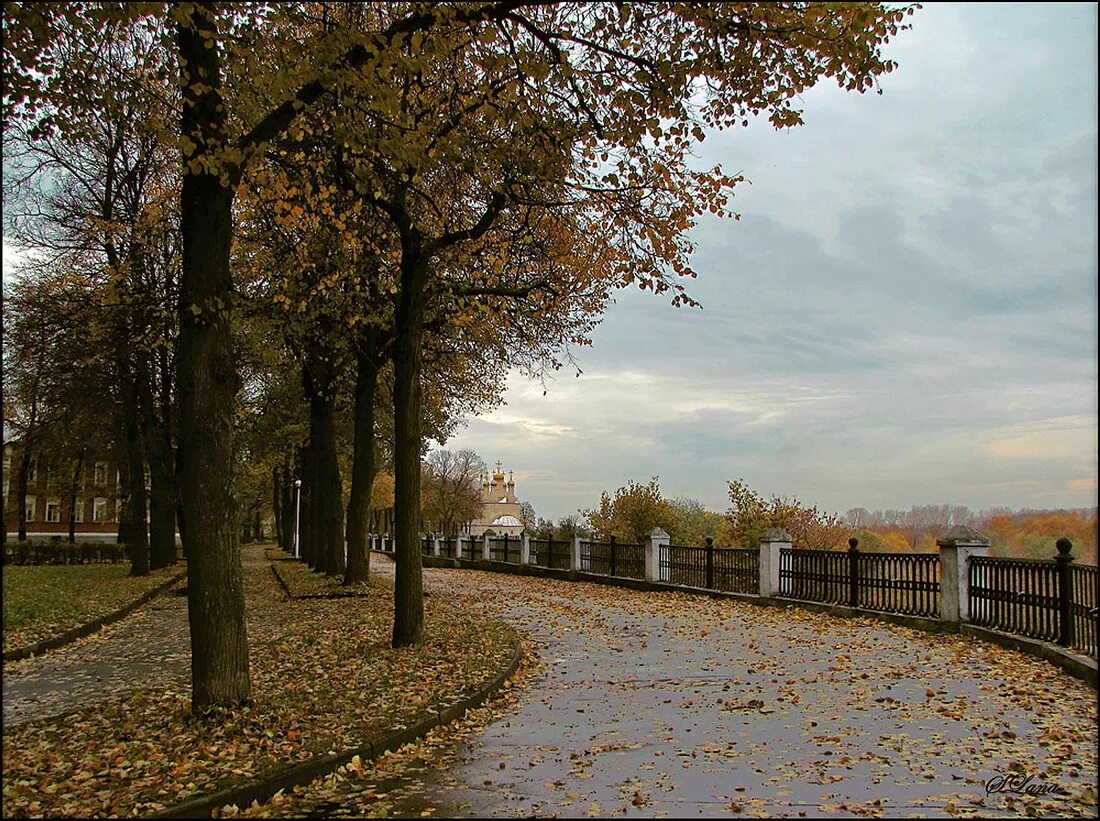 Городское 6 октября. Природа города Рязань парк. Парк Саратов поздняя осень. Рязань осень парк верхний. Осенний город.