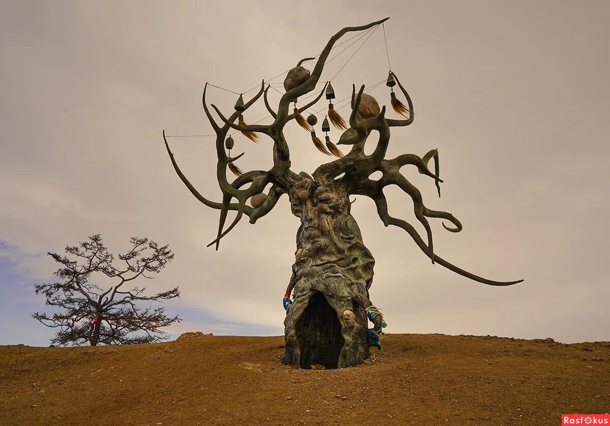 даши намдаков дерево ольхон. даши намдаков дерево ольхон. скульптура хранитель байкала. байкал церковка. статую даши намдакова «хранитель байкала».