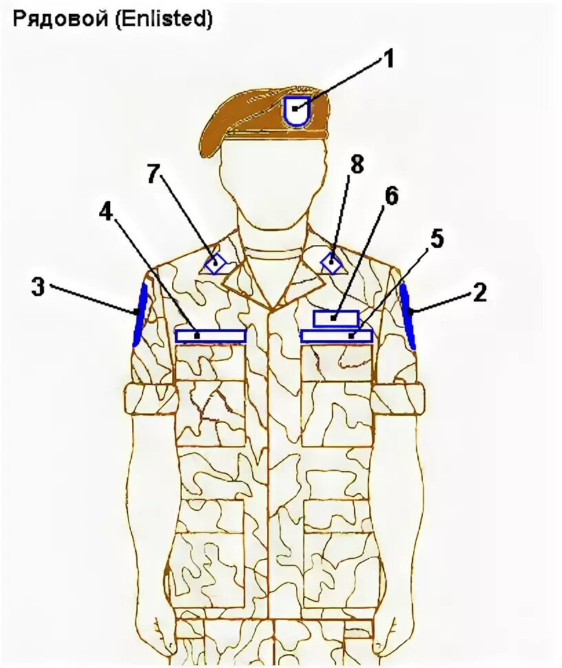 Размещение шевронов на форме. Расположение нашивок на форме. Расположение шевронов на форме. Расположение нашивок на военной форме.