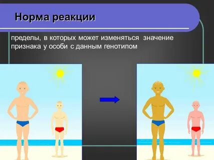 Норма в узком смысле