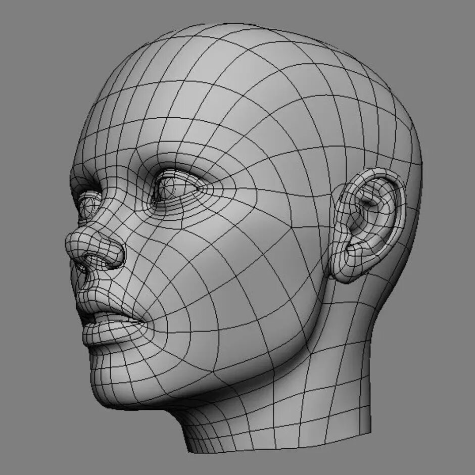 Ретопология 3д. Топология 3d. 3д ретопология головы. Топология человека 3d.