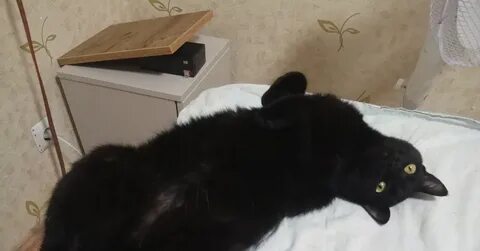 Черное пикабу