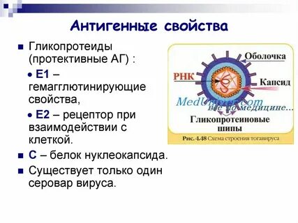 Вирус клещевого