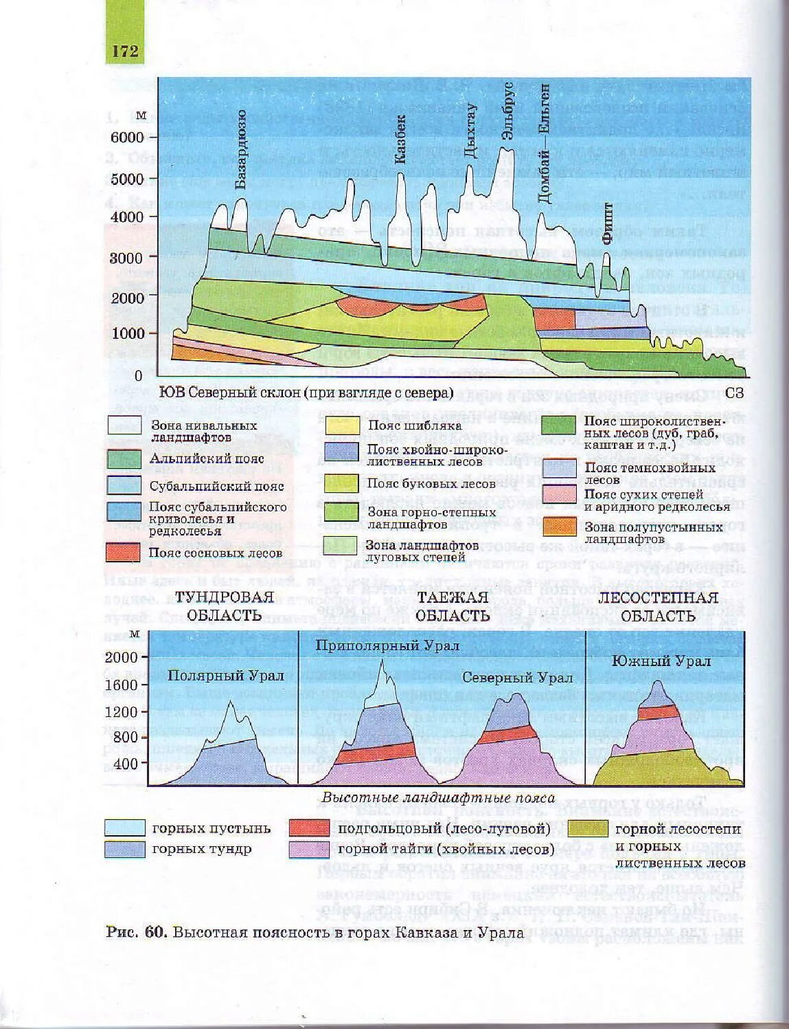 Объяснить различия структуры высотной поясности. Горы России Высотная поясность России. Высотная поясность в горах Урала. Кавказ Высотная поясность в горах Кавказа. Уральские горы Высотная поясность.