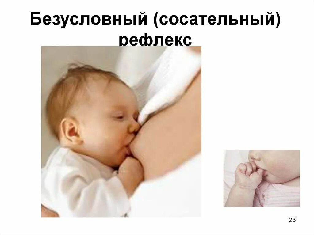 Рефлекс сосания. Безусловный рефлекс сосательный. Сосание груди это безусловный рефлекс. Безусловные рефлексы сосательный рефлекс. Сосательный рефлекс рисунок.