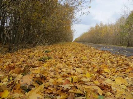 Погодные условия осенью
