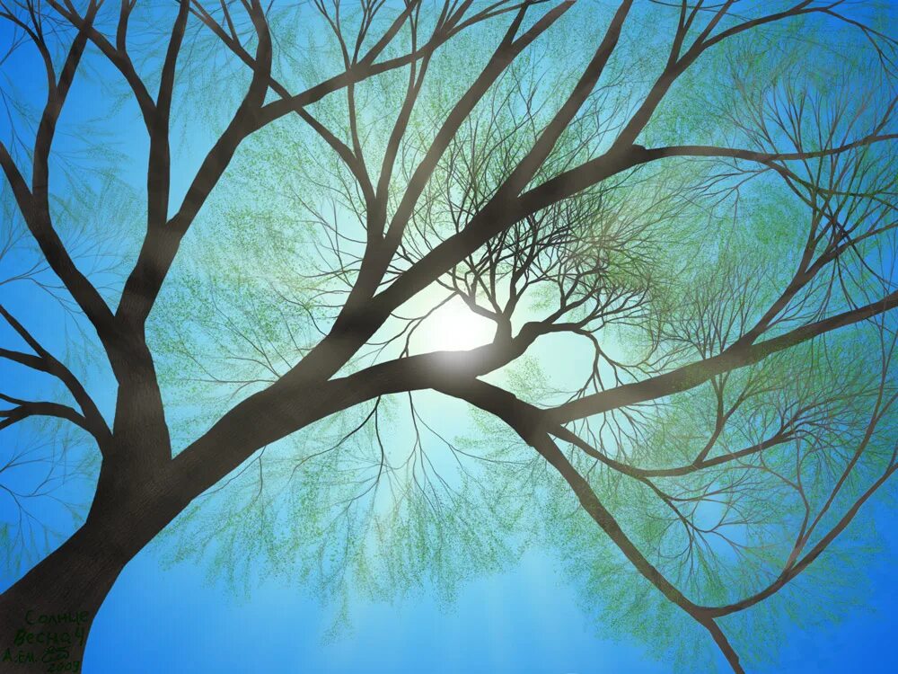 Природа солнце. Весной солнце долго. Солнце весной. Солнечная весна. Весна солнце цветы.