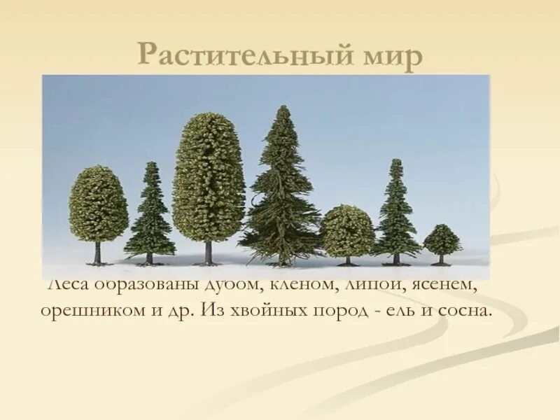 В этой природной зоне преобладают хвойные. Ель и сосна конкуренция. Дуб, клен, липа, ясень и орешник. Из хвойных преобладают ель и сосна.