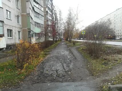 Щорса кинешма