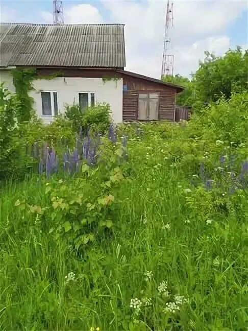 Посёлок Андреево Судогодский район. Владимирская обл.Судогодский район п.Тюрмеровка. Андреево Владимирская область Судогодский район. Тюрмеровка Судогодский район.