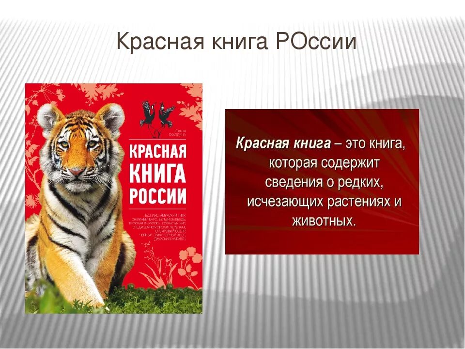 Красная книга. Красная книга России. Красная книга России. Животные. Красная книга презентация. Доклад о красной книге 2 класс