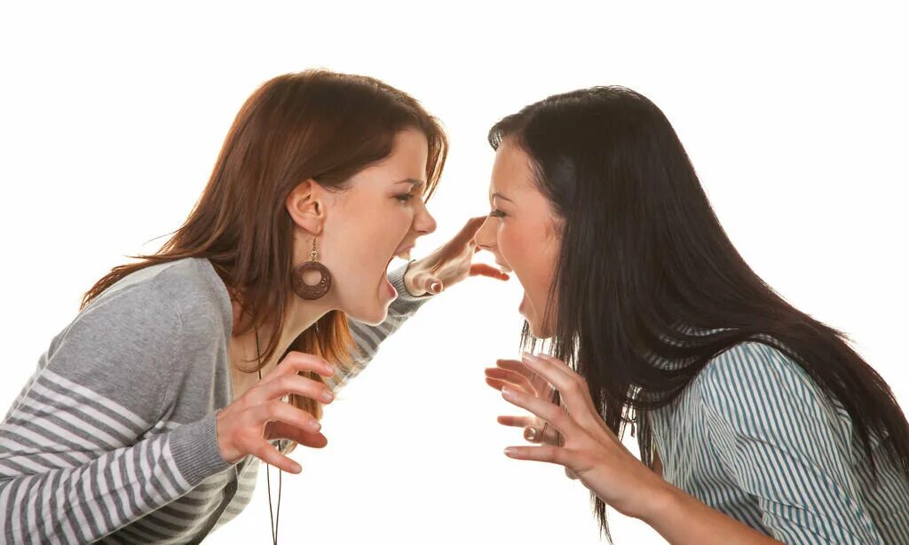 They are arguing