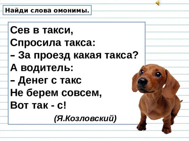 Сев в такси спросила такса. Такса села на такси стих. Стих про таксу. Такса омоним.