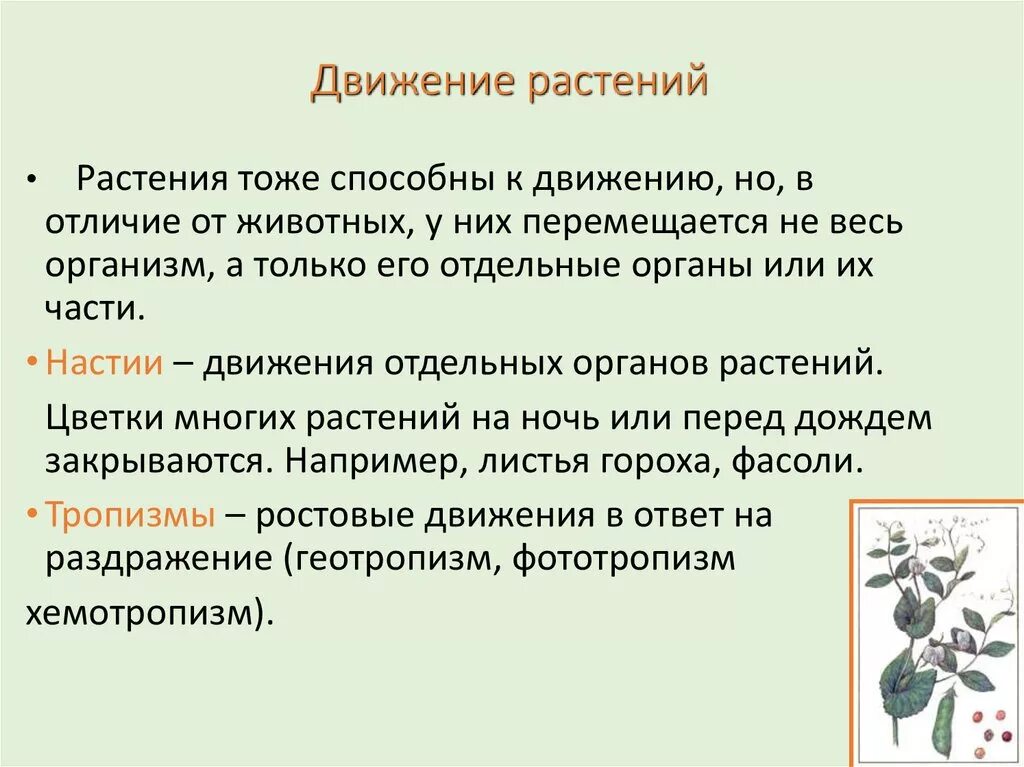 Растительный организм примеры. Движение органов растений. Способы передвижения растений. Движение растений и животных. Движение растений 6 класс биология.