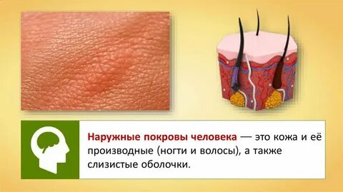 Поврежденные кожные покровы