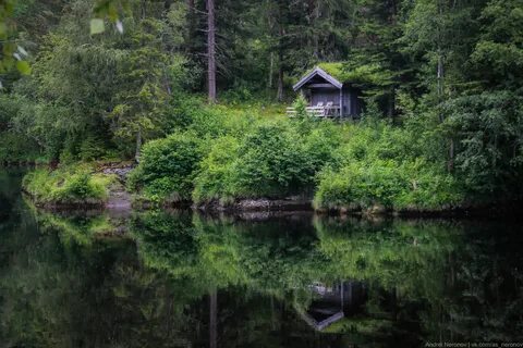 Норвежско русский лес